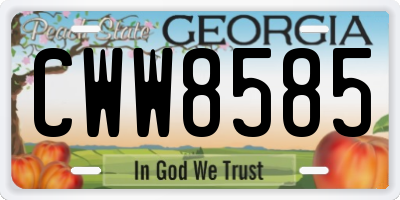 GA license plate CWW8585