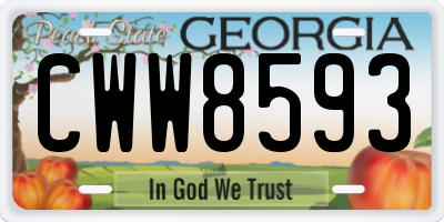 GA license plate CWW8593