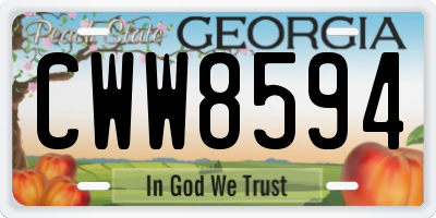 GA license plate CWW8594