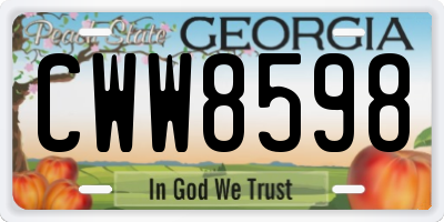 GA license plate CWW8598