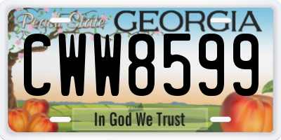 GA license plate CWW8599