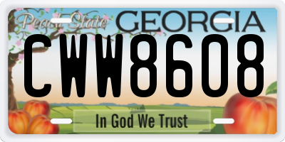 GA license plate CWW8608