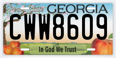 GA license plate CWW8609