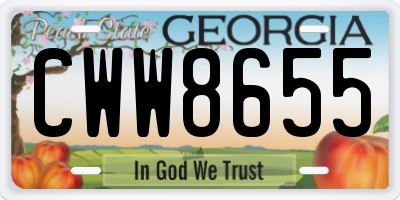 GA license plate CWW8655