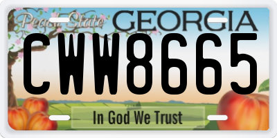 GA license plate CWW8665