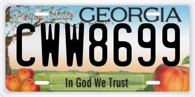 GA license plate CWW8699