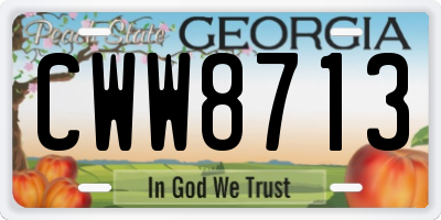 GA license plate CWW8713