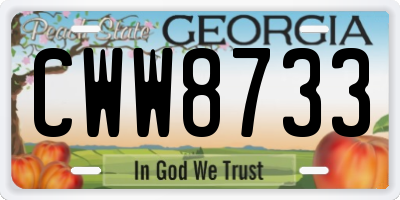 GA license plate CWW8733