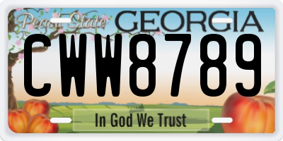 GA license plate CWW8789