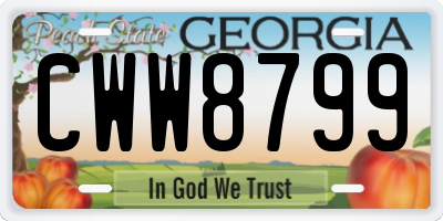 GA license plate CWW8799