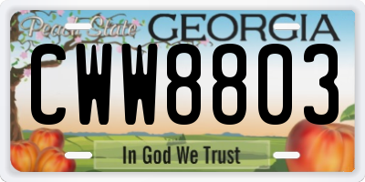 GA license plate CWW8803