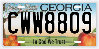 GA license plate CWW8809