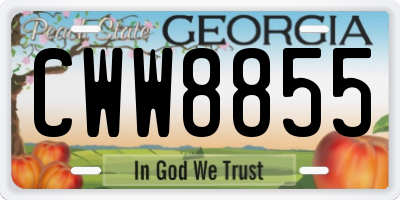 GA license plate CWW8855