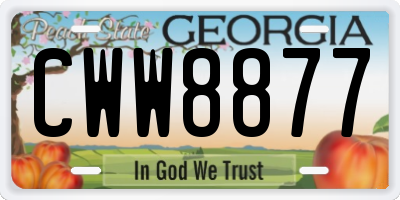 GA license plate CWW8877