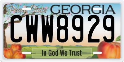GA license plate CWW8929