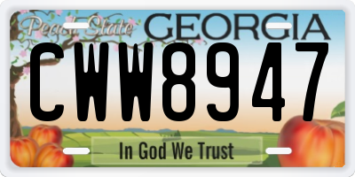 GA license plate CWW8947