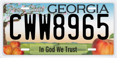GA license plate CWW8965