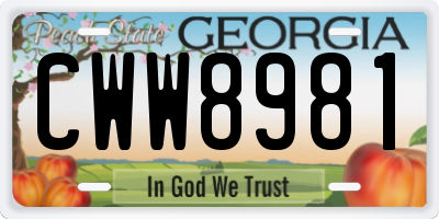 GA license plate CWW8981