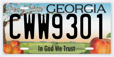 GA license plate CWW9301
