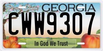 GA license plate CWW9307