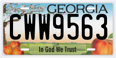 GA license plate CWW9563