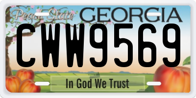 GA license plate CWW9569