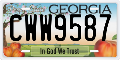GA license plate CWW9587