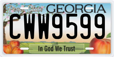 GA license plate CWW9599