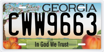 GA license plate CWW9663