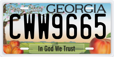 GA license plate CWW9665