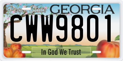 GA license plate CWW9801