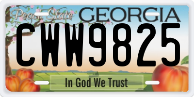 GA license plate CWW9825