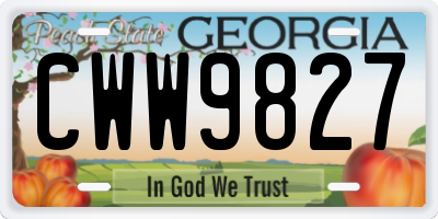 GA license plate CWW9827