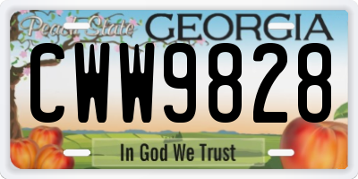 GA license plate CWW9828