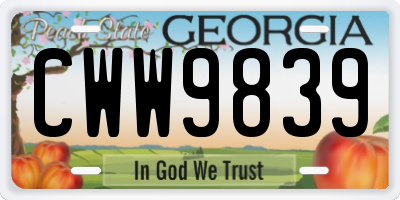 GA license plate CWW9839