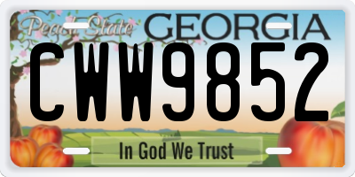 GA license plate CWW9852