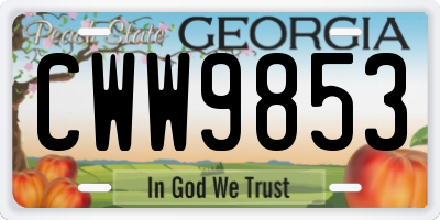 GA license plate CWW9853