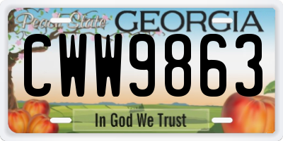 GA license plate CWW9863