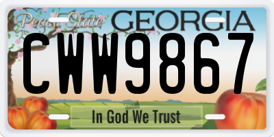 GA license plate CWW9867