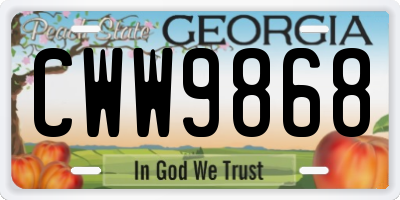 GA license plate CWW9868