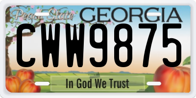 GA license plate CWW9875