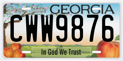 GA license plate CWW9876