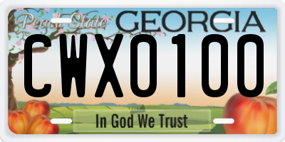 GA license plate CWX0100