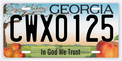 GA license plate CWX0125
