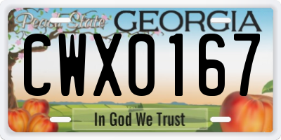 GA license plate CWX0167