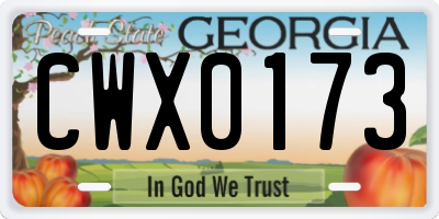 GA license plate CWX0173