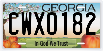 GA license plate CWX0182