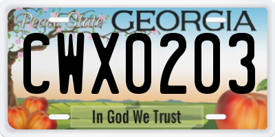 GA license plate CWX0203