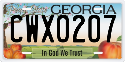 GA license plate CWX0207
