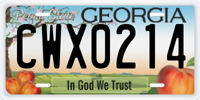 GA license plate CWX0214